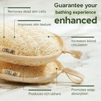 Chill Ah Green Glow All Natural Exfoliator Dual Sided Loofah Bath Sponge Set – - Image 4