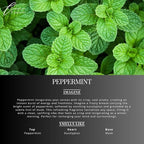 Peppermint Carpet Freshener Powder: Powerful Odor Eliminator - Image 3
