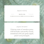 ScentAir Whisper Home Monthly Plug-in Refill, Fragrance Cartridge - Image 4