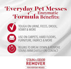 Nature's Miracle Stain and Odor Remover - Image 3