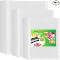 MakMeFre 300 Bags 100 of Each Size Gallon 11"x16" and Quart 8"x12" and Pint by MakMeFreDirect