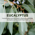 ROSE COTTAGE Large 12 Packs Eucalyptus Hanging Closet Air Freshener Scented - Image 4