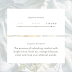 ScentAir Whisper Home Monthly Plug-in Refill, Fragrance Cartridge - Image 4