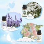 Laundry Fragrance Oils Set, Essential Oil - Image 3