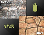 Bad Axe MMR Instant Mold Stain and Mildew Stain Remover - Image 6