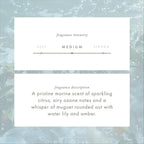 ScentAir Whisper Home Monthly Plug-in Refill, Fragrance Cartridge - Image 4