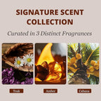 Car Air Freshener - Image 4
