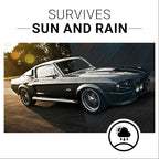 CAR GUYS Plastic Restorer | Bring Plastic, and Vinyl Back to Life! | User - Image 5