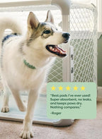 Earth Rated Max Absorbency Puppy Pee Pads - Image 9