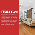 Pro's Choice Rust Away Rust Remover - Image 5