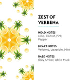 MAISON BERGER - Zest of Verbena - Lampe Berger Fragrance Refill - Image 3