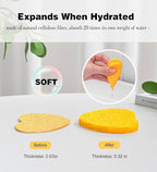50-Count Compressed Facial Sponges - Image 4