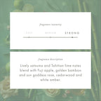ScentAir Whisper Home Monthly Plug-in Refill, Fragrance Cartridge - Image 4