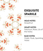 MAISON BERGER - Exquisite Sparkle - Lampe Berger Fragrance Refill - Image 2