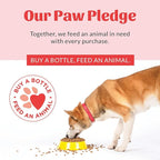 SKOUT'S HONOR Pet Grooming Wipes - Image 9