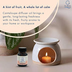 G's Breeze Cantaloupe Diffuser Oil Refill - Image 9