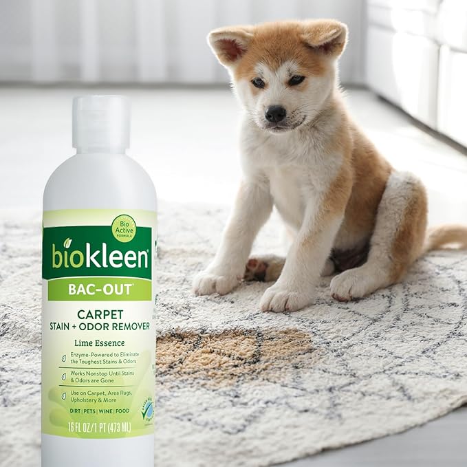 Biokleen Bac-Out Enzymatic Stain & Odor Remover - Image 6