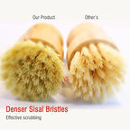 Bamboo Palm Dish Brush Set, Natural Bristle Dish Brush - Image 5