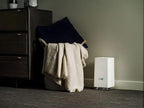 ScentAir Whisper Home Monthly Plug-in Refill, Fragrance Cartridge - Image 4