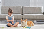 Jimmy WB81 Mattress Vacuum Cleaner, Upgraded Roller Brush, Smart Dust Sensor LED - Image 9
