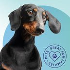 Bioesque Advanced Stain + Odor Remover, Pet-Friendly Natural Enzymatic & - Image 3