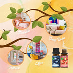 Fruit Essential Oils Set, Fragrance Oil Set - Image 6