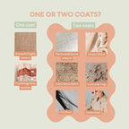 Fabric Protector and Stain Resistant Spray - Image 6