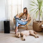 Medify MA-40 UV Light Air Purifier - Image 6