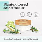 Azuna Air Freshener & Odor Eliminator Gel 4 Room Kit, Includes 8 oz. Empty Luxe - Image 4