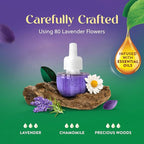 Air Wick Plug in Scented Oil Refill, Lavender & Chamomile, Air Freshener - Image 4