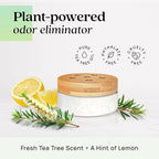 Azuna Air Freshener & Odor Eliminator - Image 4