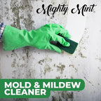 Mighty Mint Mold & Mildew Stain Remover Spray, Rapid Clean - Image 4