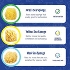 Baby Buddy Baby Bath 4in Yellow Sea Sponge, Absorbent Natural Sea Sponge - Image 5