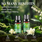 Fragrance Oils Set, Essential Oils - Image 2