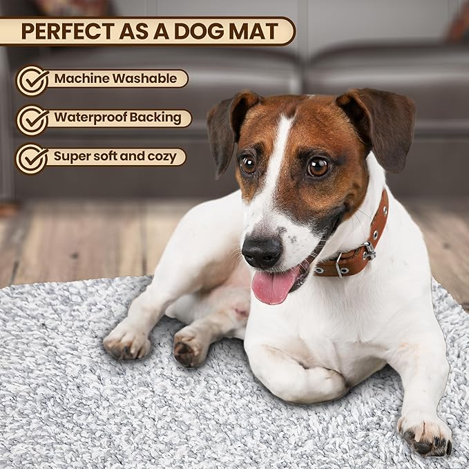 Premium Microfiber Indoor Door Mat – 20"x30" Washable Entry Mat, Waterproof - Image 2