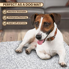 Premium Microfiber Indoor Door Mat – 36"x60" Washable Entry Mat, Waterproof - Image 6