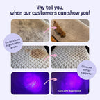 Sunny & Honey Carpet Cleaner Solution - Image 2