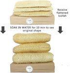 Natural Whole Loofah Dish Sponge - Image 2