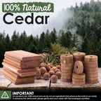 ecoKiwi Cedar Blocks for Clothes Storage Mega Bundle Box - Image 4