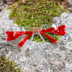 BISON LIFE Safety Glasses - Image 4