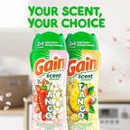 Gain Tango 2-in-1 Laundry Scent Booster Beads, Strawberry and Shea Scent - Image 6