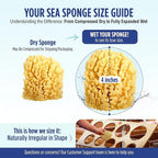 Baby Buddy Baby Bath 4in Yellow Sea Sponge, Absorbent Natural Sea Sponge - Image 7
