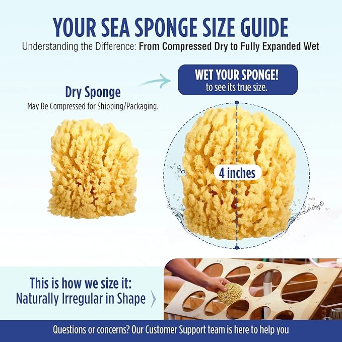 Baby Buddy Absorbent Natural Bath Sponge, Soft Exfoliating Grass Sponge - Image 7