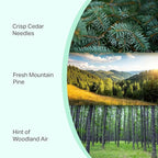 Pine Candle Large Volcano Jar -19oz 4"x5" Giant Candle - Image 5