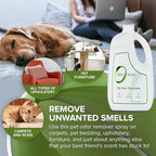 Zero Odor - Pet Odor Eliminator - Image 3