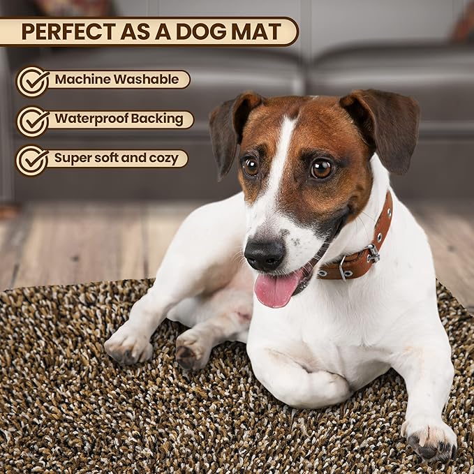 Premium Microfiber Indoor Door Mat – 20"x30" Washable Entry Mat, Waterproof - Image 2