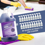 All Purpose Cleaner Concentrate - Image 4