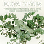 15 Packs Eucalyptus Scented Sachets Bag - Image 8