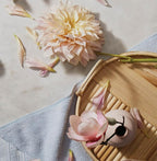 Thymes Reed Diffuser Oil - Image 4