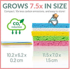 bioGo 30 Pack Compostable Pop-Up Sponges - Image 2